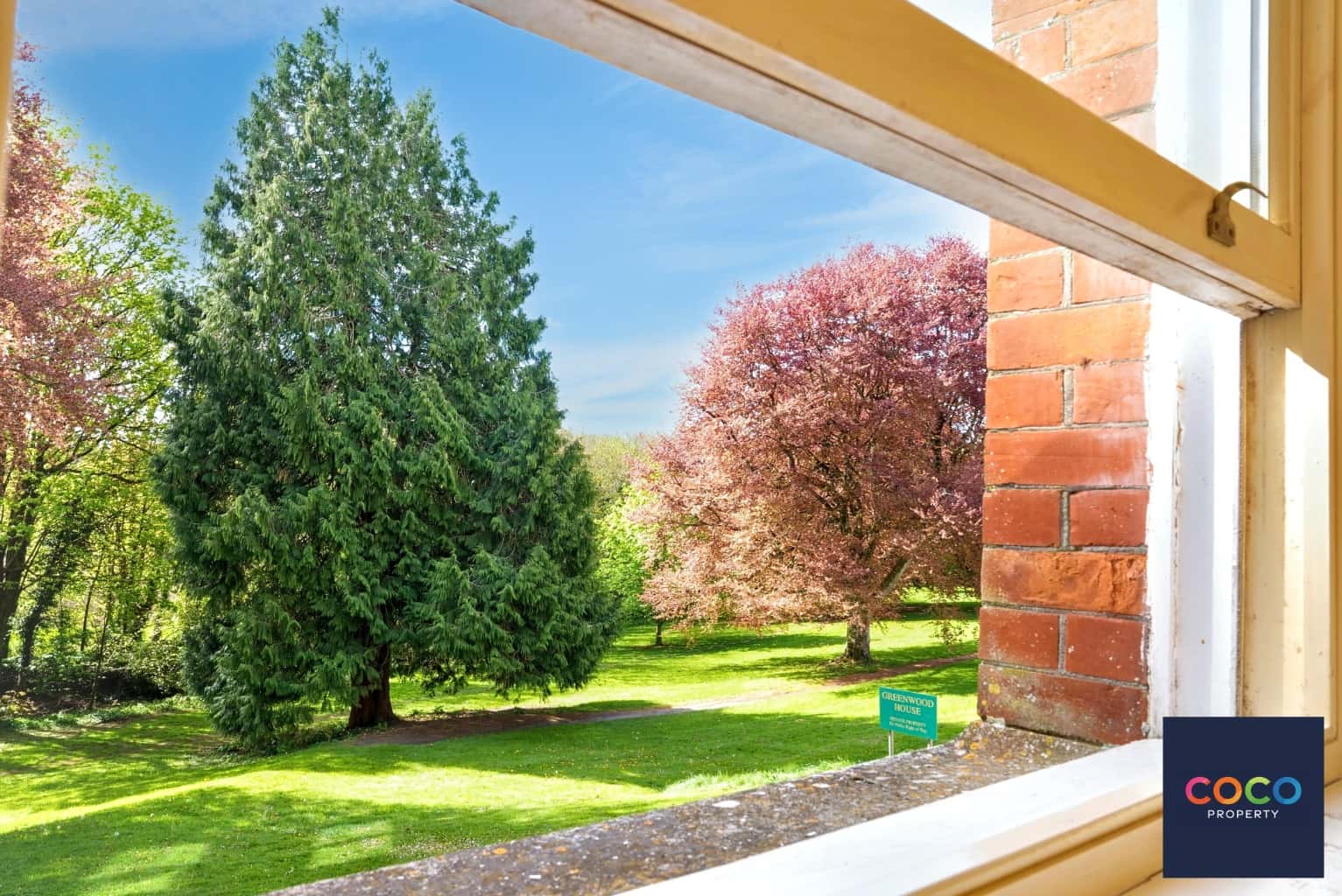 Charming Two Double Bedroom Ground Floor Apartment in Charlton Down Property image 3