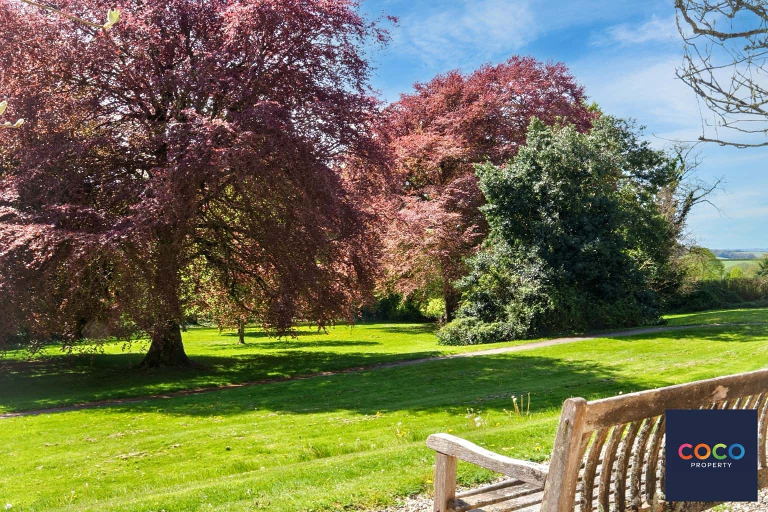 Charming Two Double Bedroom Ground Floor Apartment in Charlton Down Property image 10