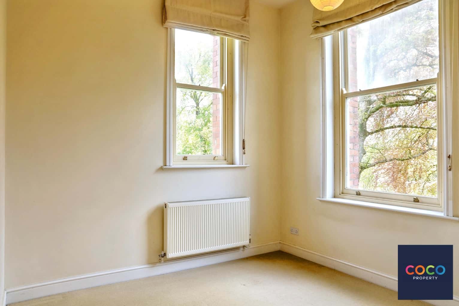 Charming Two Double Bedroom Ground Floor Apartment in Charlton Down Property image 9