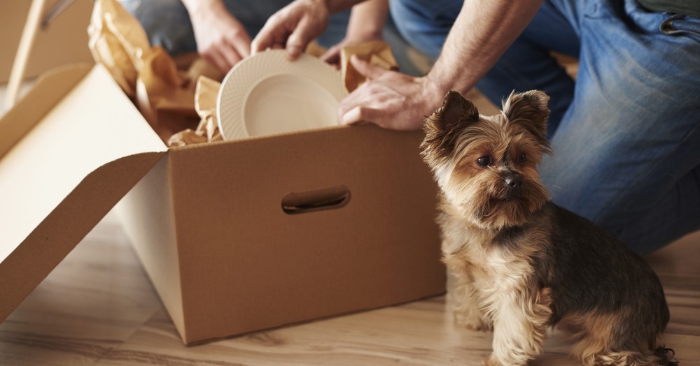 Checklist for moving up to a larger home Checklist for moving up to a larger home